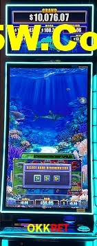 Sports Statistics OKKbet